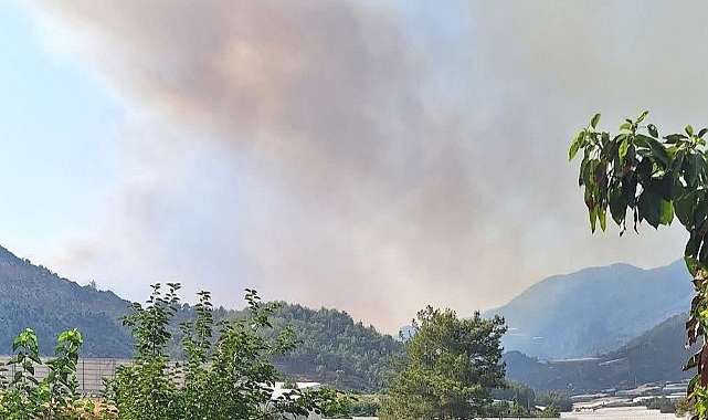 Mersin'de ikinci orman yangını