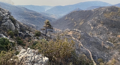 Mersin'de kaynak yaparken orman yangınına neden olan firma sahibi ile 4 kişi tutuklandı