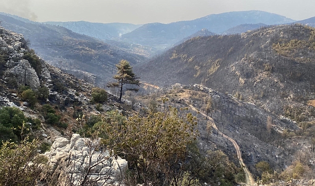 Mersin'de kaynak yaparken orman yangınına neden olan firma sahibi ile 4 kişi tutuklandı