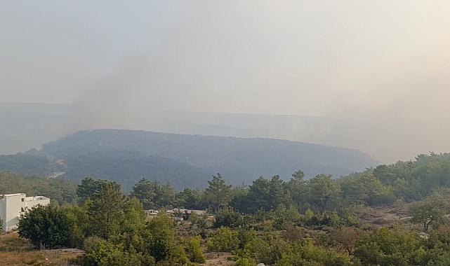 Mersin'deki orman yangını 2. gününde