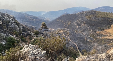 Mersin Silifke'de yangın büyük ölçüde kontrol altına alındı