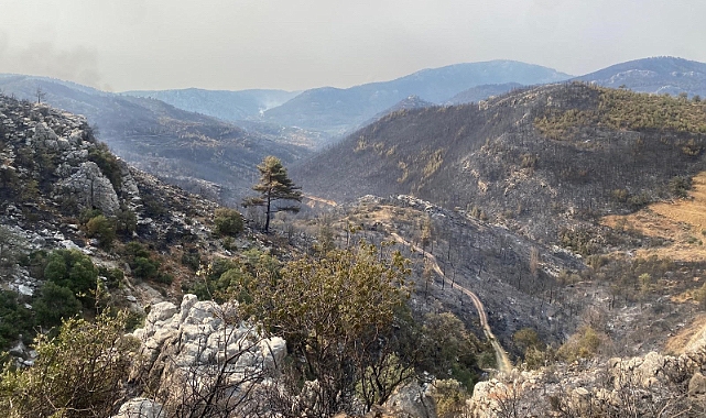 Mersin Silifke'de yangın büyük ölçüde kontrol altına alındı